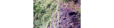 074. திருச்சிங்கவேள்குன்றம்
